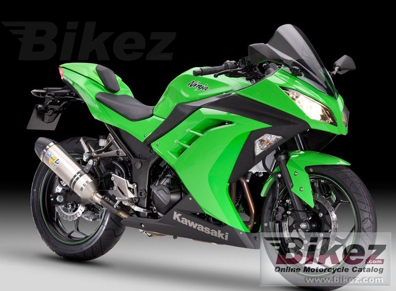 Big Kawasaki ninja 300 performance picture and wallpaper from Bikez.com